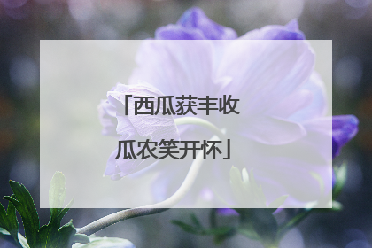 西瓜获丰收 瓜农笑开怀