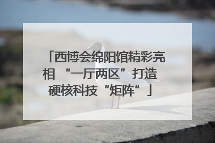 西博会绵阳馆精彩亮相 “一厅两区”打造硬核科技“矩阵”