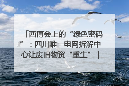 西博会上的“绿色密码”：四川唯一电网拆解中心让废旧物资“重生”｜西博寻“新”记
