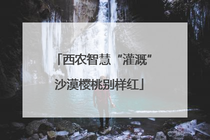 西农智慧“灌溉” 沙漠樱桃别样红