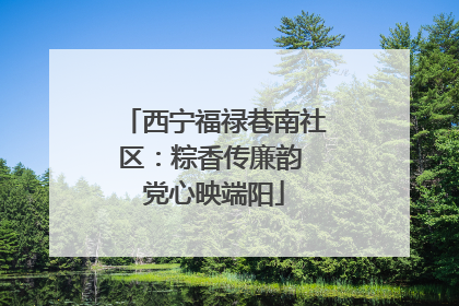 西宁福禄巷南社区：粽香传廉韵 党心映端阳