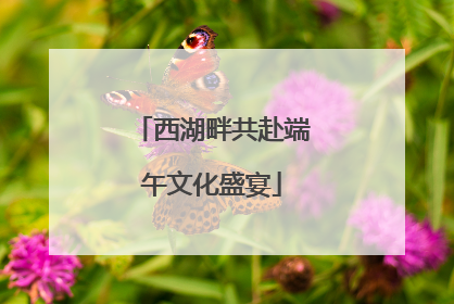 西湖畔共赴端午文化盛宴