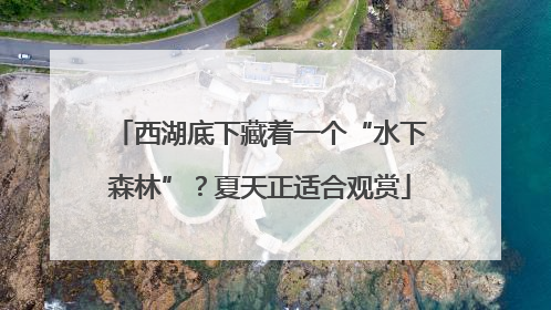 西湖底下藏着一个“水下森林”？夏天正适合观赏