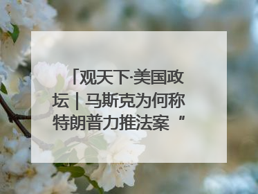 观天下·美国政坛｜马斯克为何称特朗普力推法案“令人作呕”