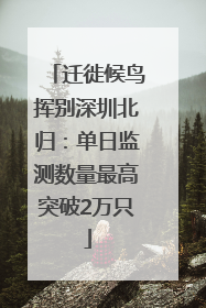 迁徙候鸟挥别深圳北归：单日监测数量最高突破2万只