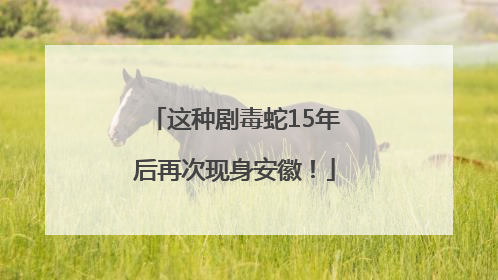 这种剧毒蛇15年后再次现身安徽！