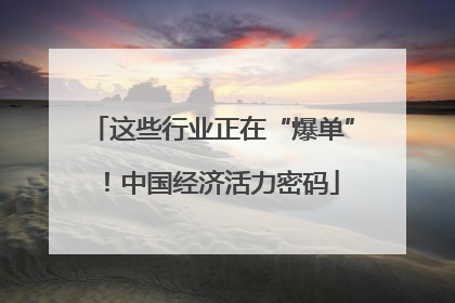 这些行业正在“爆单”！中国经济活力密码