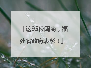 这95位闽商，福建省政府表彰！