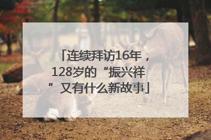 连续拜访16年，128岁的“振兴祥”又有什么新故事