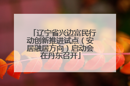 辽宁省兴边富民行动创新推进试点（安居融居方向）启动会在丹东召开