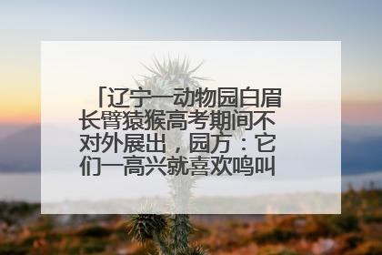 辽宁一动物园白眉长臂猿猴高考期间不对外展出，园方：它们一高兴就喜欢鸣叫，怕影响考试