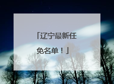 辽宁最新任免名单！