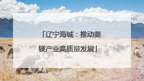 辽宁海城：推动菱镁产业高质量发展