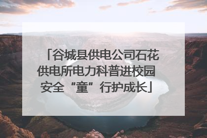 谷城县供电公司石花供电所电力科普进校园安全“童”行护成长