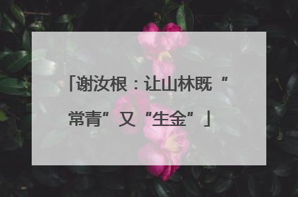 谢汝根：让山林既“常青”又“生金”