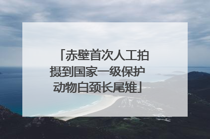 赤壁首次人工拍摄到国家一级保护动物白颈长尾雉