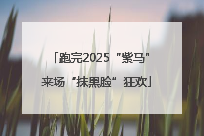 跑完2025“紫马” 来场“抹黑脸”狂欢