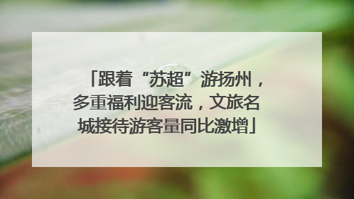 跟着“苏超”游扬州，多重福利迎客流，文旅名城接待游客量同比激增