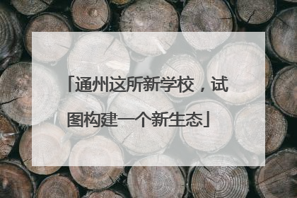 通州这所新学校，试图构建一个新生态