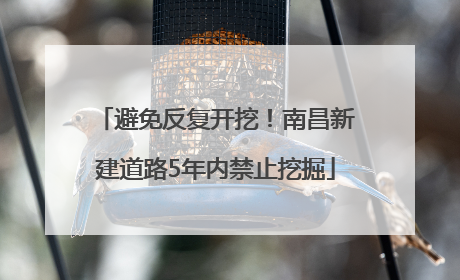 避免反复开挖！南昌新建道路5年内禁止挖掘