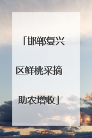 邯郸复兴区鲜桃采摘助农增收