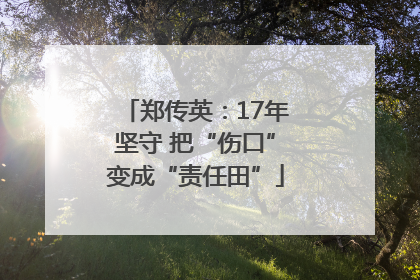 郑传英：17年坚守 把“伤口”变成“责任田”