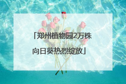 郑州植物园2万株向日葵热烈绽放