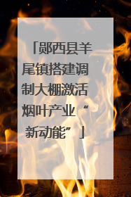 郧西县羊尾镇搭建调制大棚激活烟叶产业“新动能”