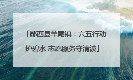 郧西县羊尾镇：六五行动护碧水 志愿服务守清波