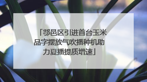鄠邑区引进首台玉米品字摆放气吹播种机助力夏播提质增速
