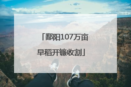 鄱阳107万亩早稻开镰收割