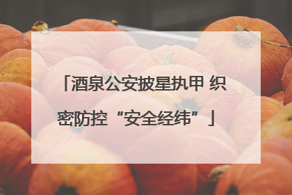 酒泉公安披星执甲 织密防控“安全经纬”