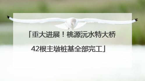 重大进展！桃源沅水特大桥42根主墩桩基全部完工