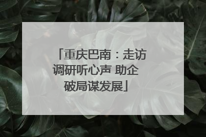 重庆巴南：走访调研听心声 助企破局谋发展