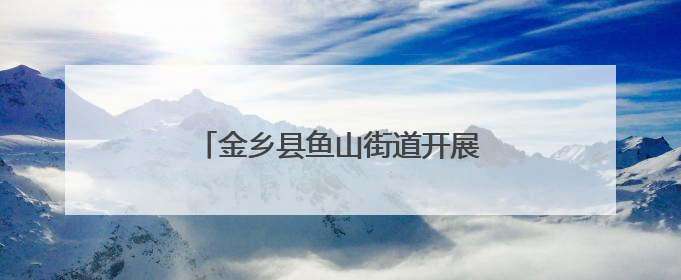 金乡县鱼山街道开展医保政策宣传活动