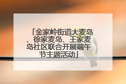 金家岭街道大麦岛、徐家麦岛、王家麦岛社区联合开展端午节主题活动