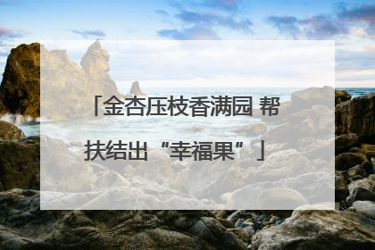 金杏压枝香满园 帮扶结出“幸福果”