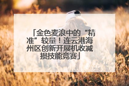 金色麦浪中的“精准”较量！连云港海州区创新开展机收减损技能竞赛