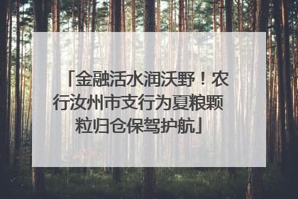 金融活水润沃野！农行汝州市支行为夏粮颗粒归仓保驾护航