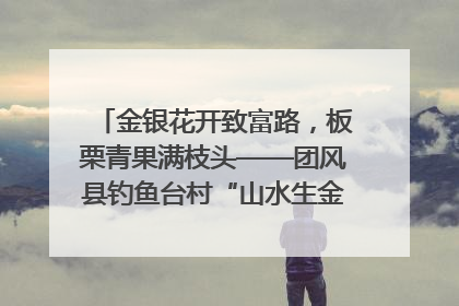 金银花开致富路，板栗青果满枝头——团风县钓鱼台村“山水生金”谱写共富新篇章