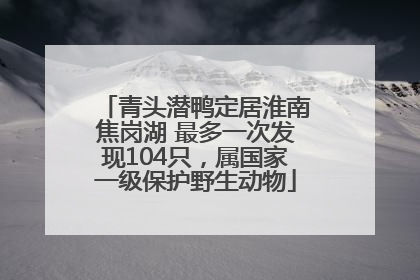 青头潜鸭定居淮南焦岗湖 最多一次发现104只，属国家一级保护野生动物
