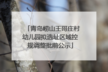 青岛崂山王哥庄村幼儿园拟选址区域控规调整批前公示