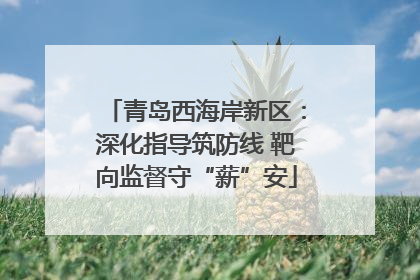 青岛西海岸新区：深化指导筑防线 靶向监督守“薪”安