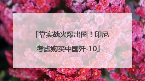 靠实战火爆出圈！印尼考虑购买中国歼-10
