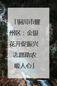 铜川市耀州区：金银花开促振兴 志愿助农暖人心