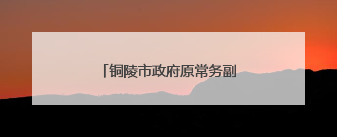 铜陵市政府原常务副市长何田被“双开”