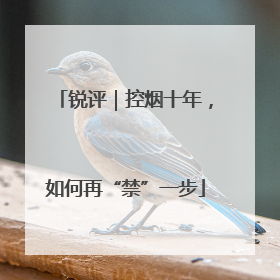 锐评｜控烟十年，如何再“禁”一步