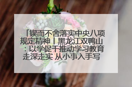 锲而不舍落实中央八项规定精神丨黑龙江双鸭山：以学促干推动学习教育走深走实 从小事入手写好“民生答卷”