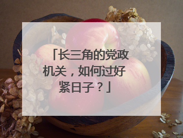 长三角的党政机关，如何过好紧日子？