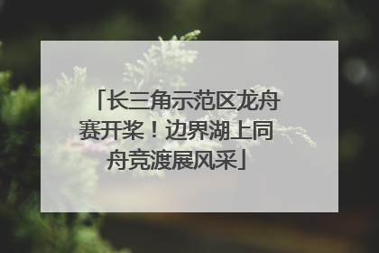 长三角示范区龙舟赛开桨！边界湖上同舟竞渡展风采